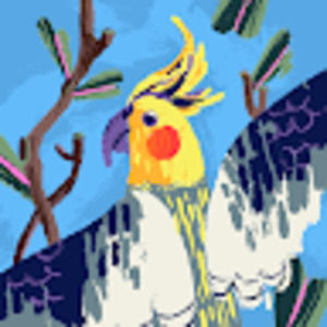 Meet your Posher, Noa